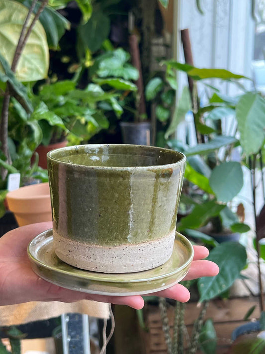 Pot with saucer | Green