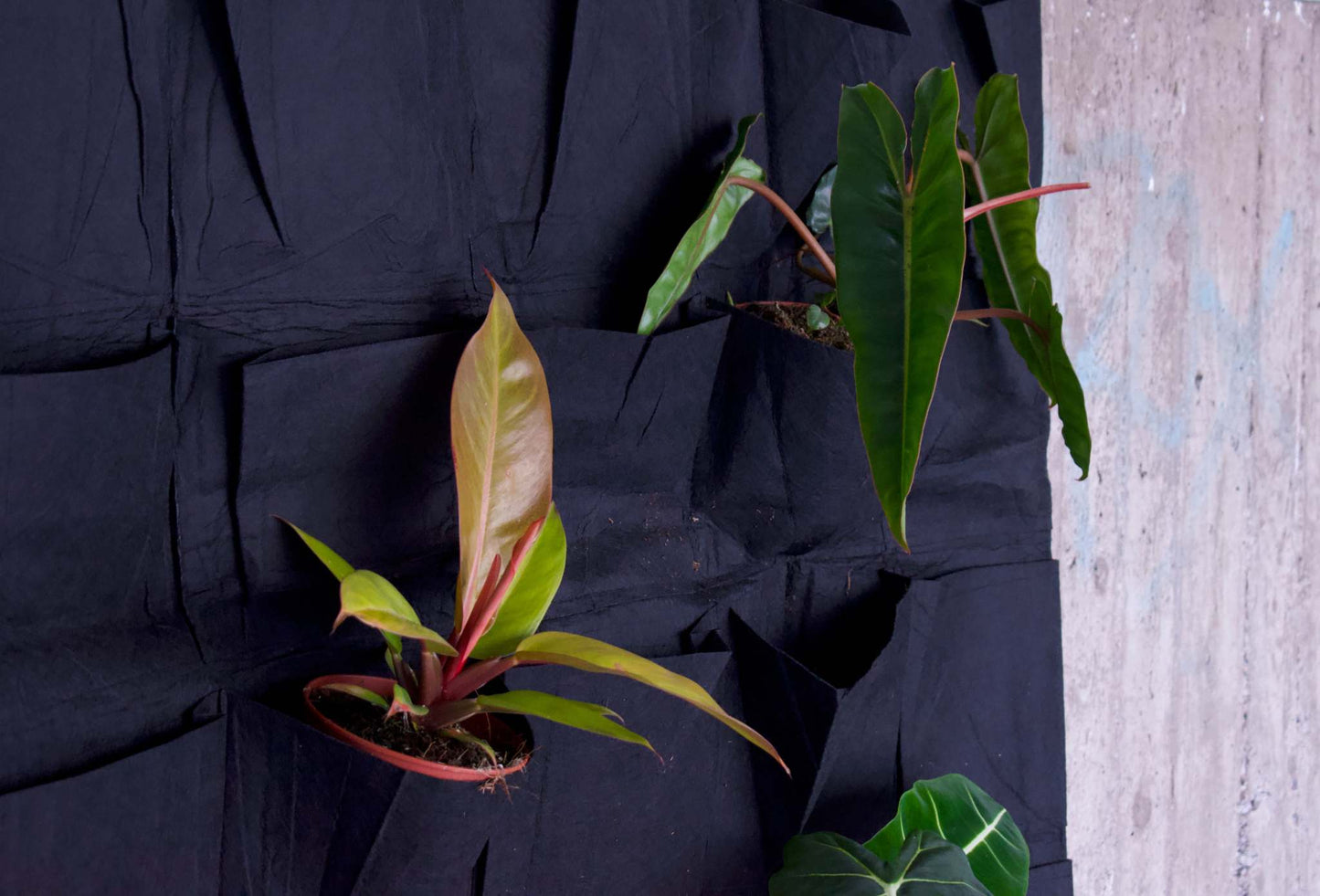 Växtvägg 25 fickor