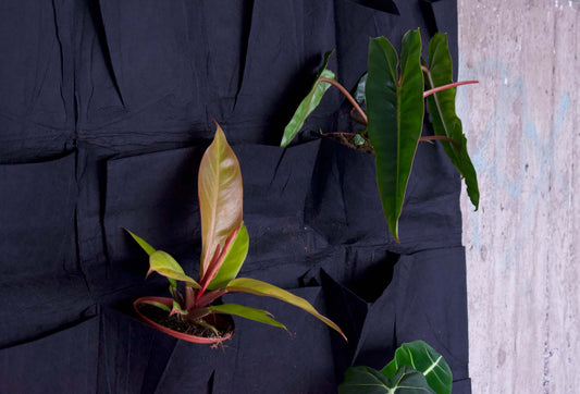 Plant wall 25 pockets