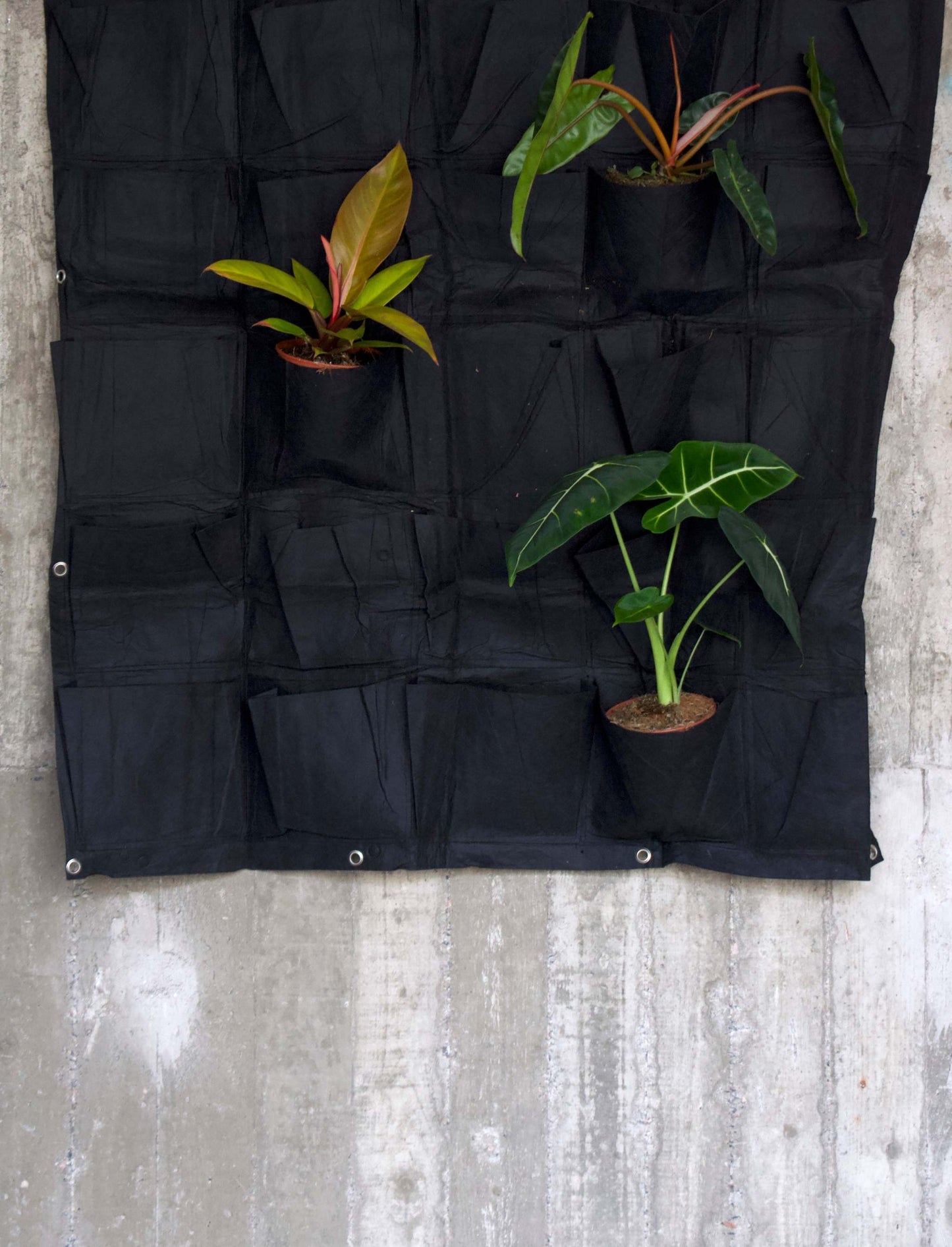 Växtvägg 25 fickor