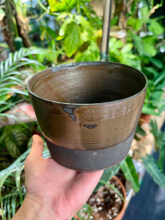 brown is the new black | 9.5 cm