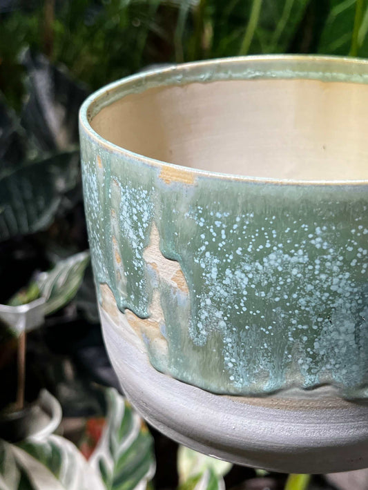 Cucumber d'Azur | 14 cm