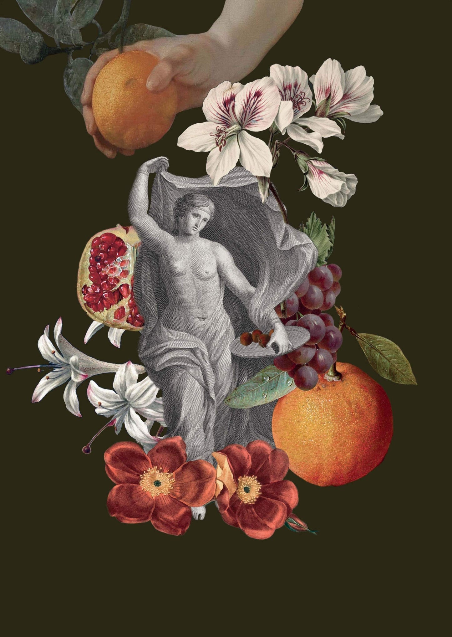 Affish | FRUITS