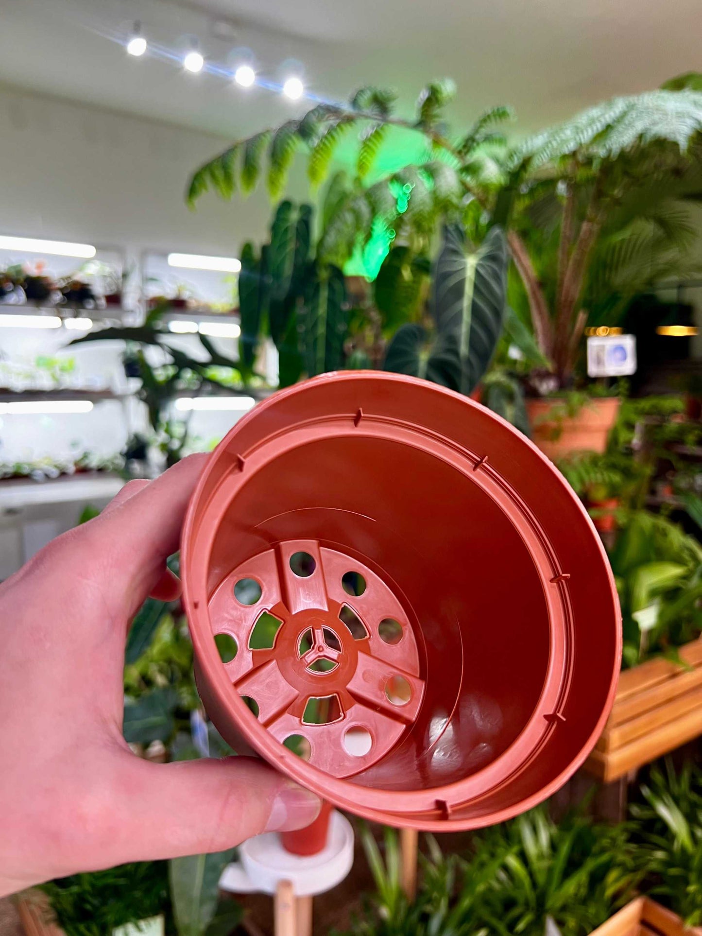 Plastkruka rund 12 cm - 10 st