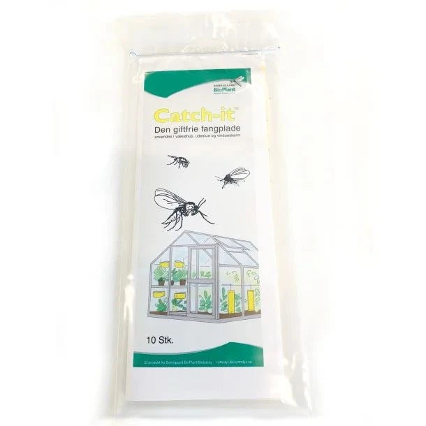 Insektenfallen (Klebescheiben)