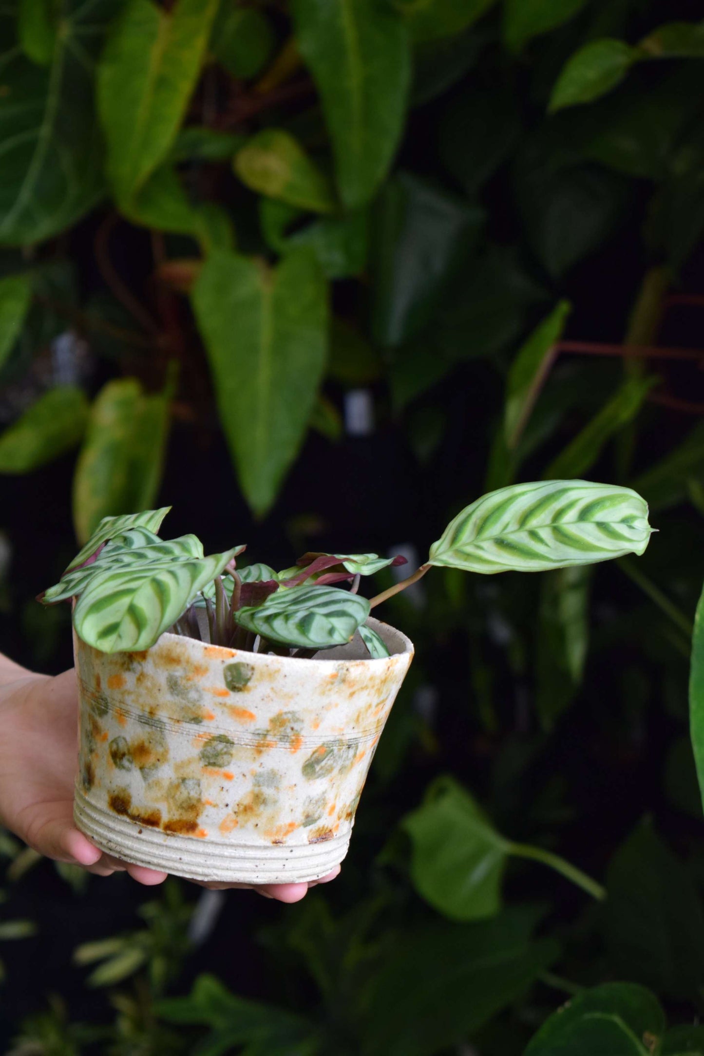 Handmade pot | 8 cm
