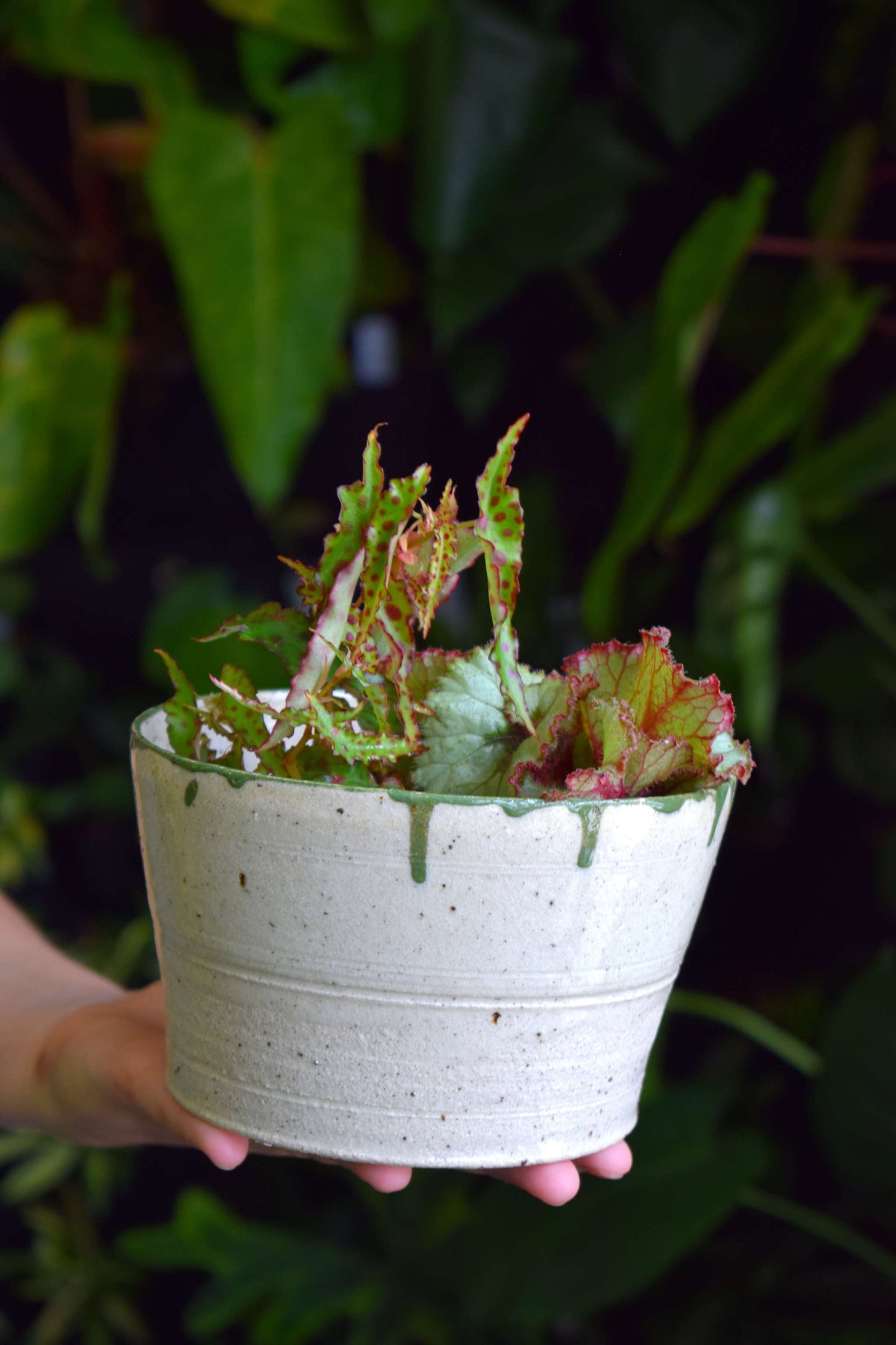Handmade pot | 8.5 cm