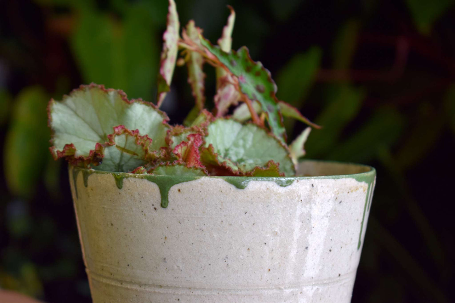 Handmade pot | 8.5 cm