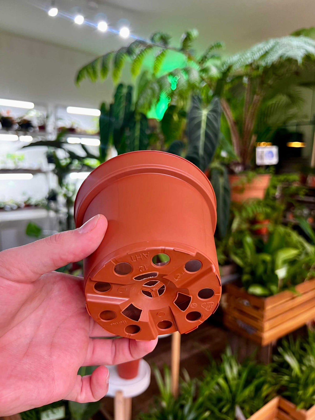 Plastkruka rund 12 cm - 10 st