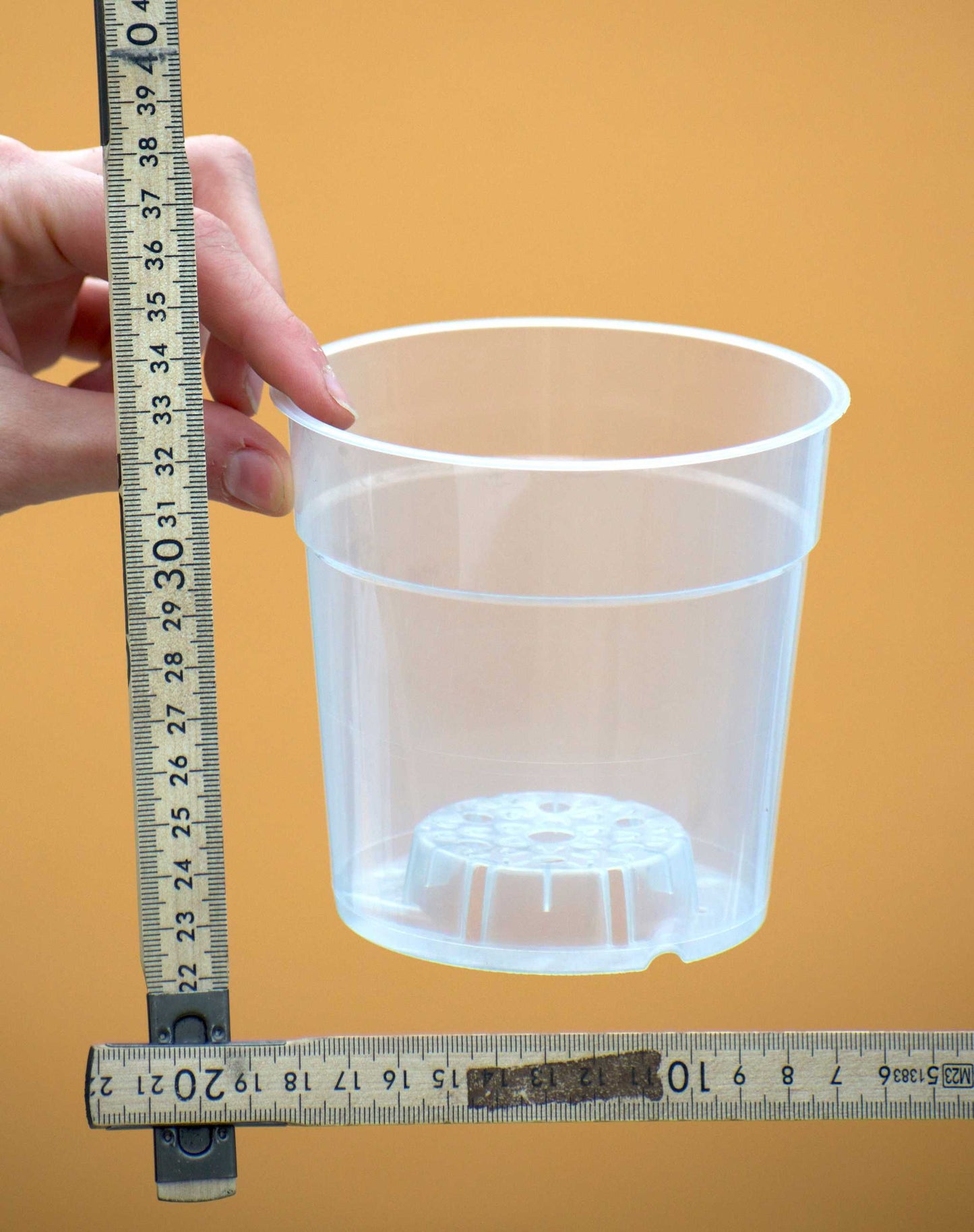 Orkidekruka genomskinlig 12 cm