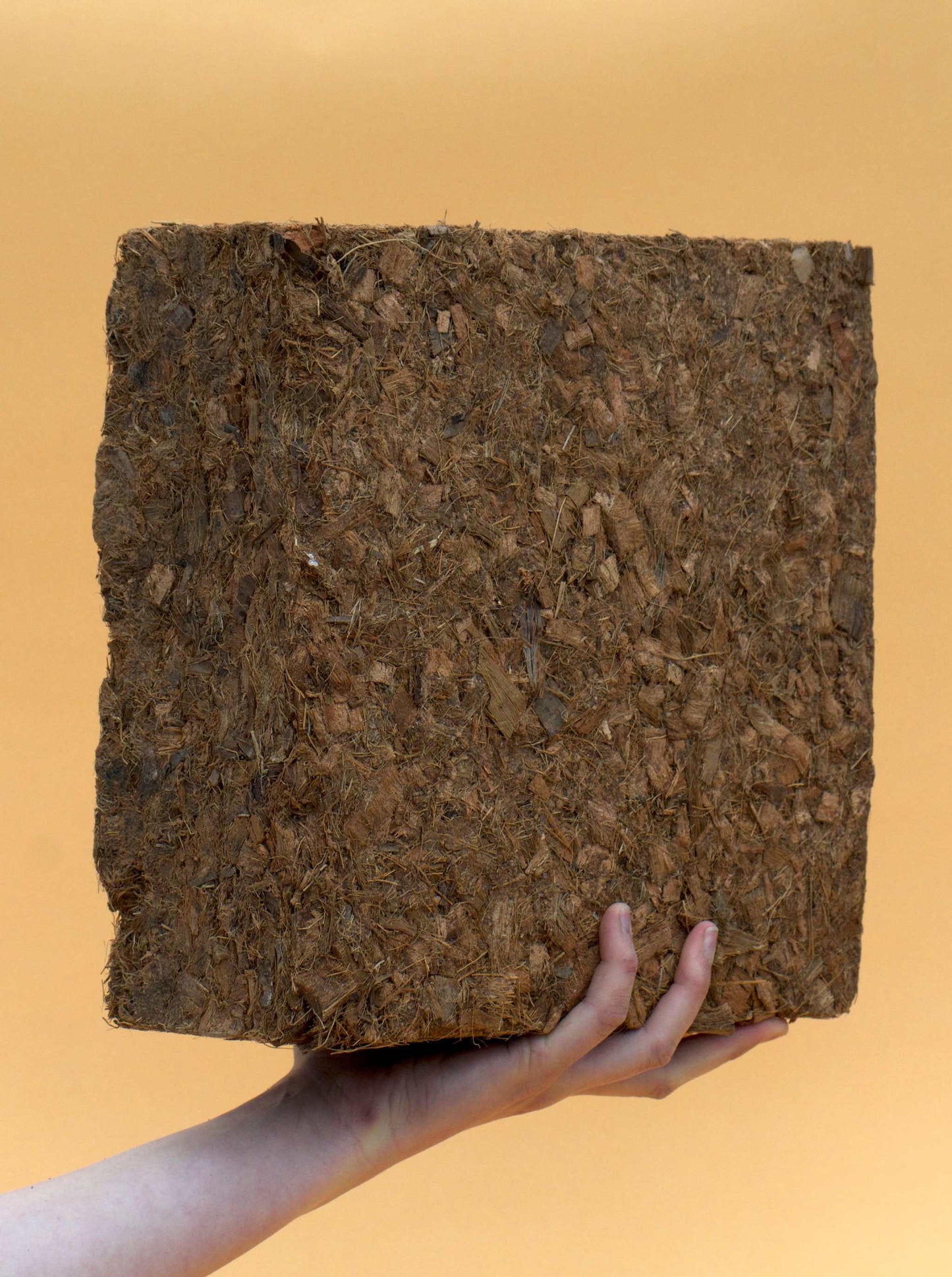 Coconut fiber