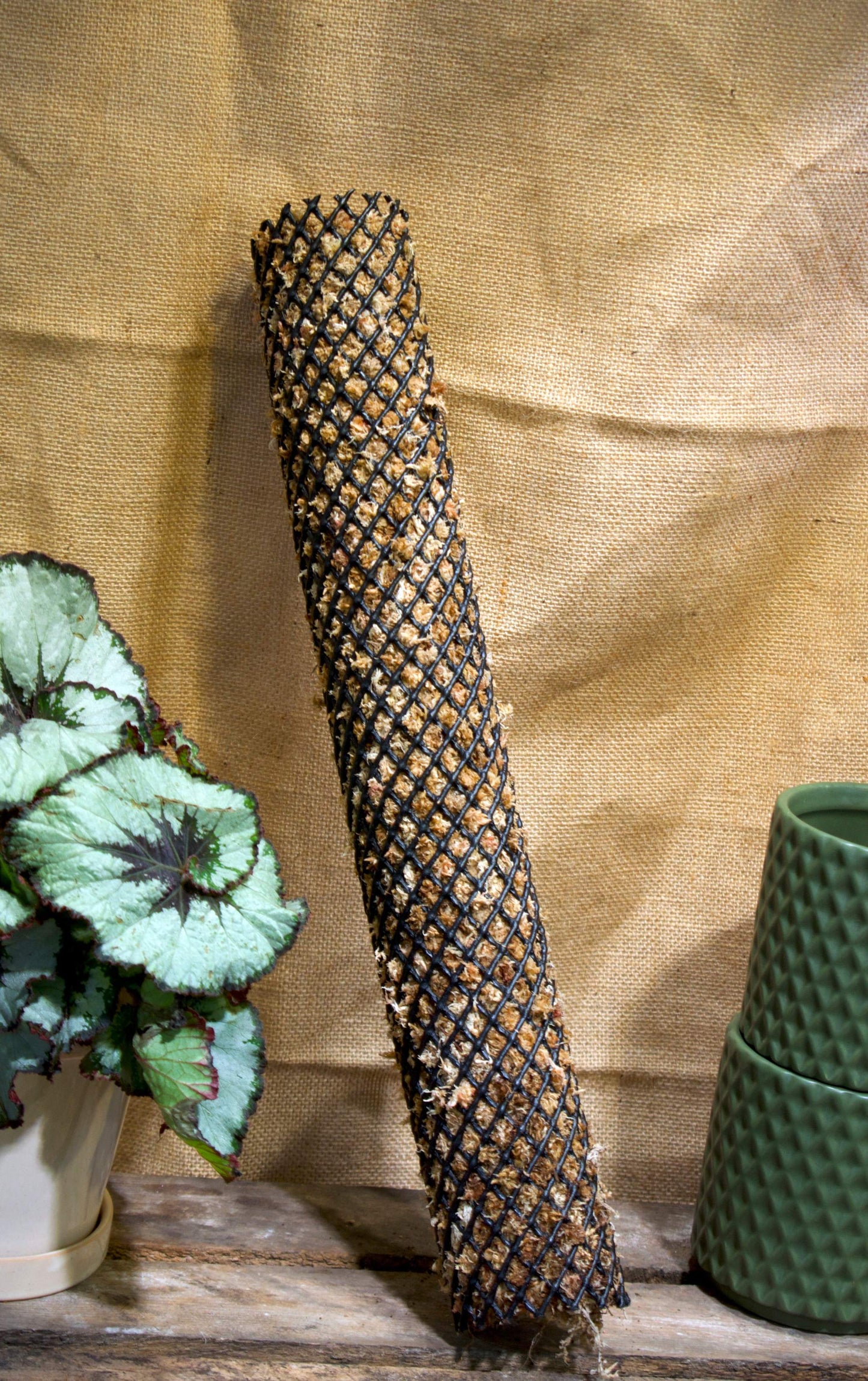 mosspåle medium