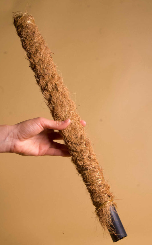 Kokosstav växtstöd