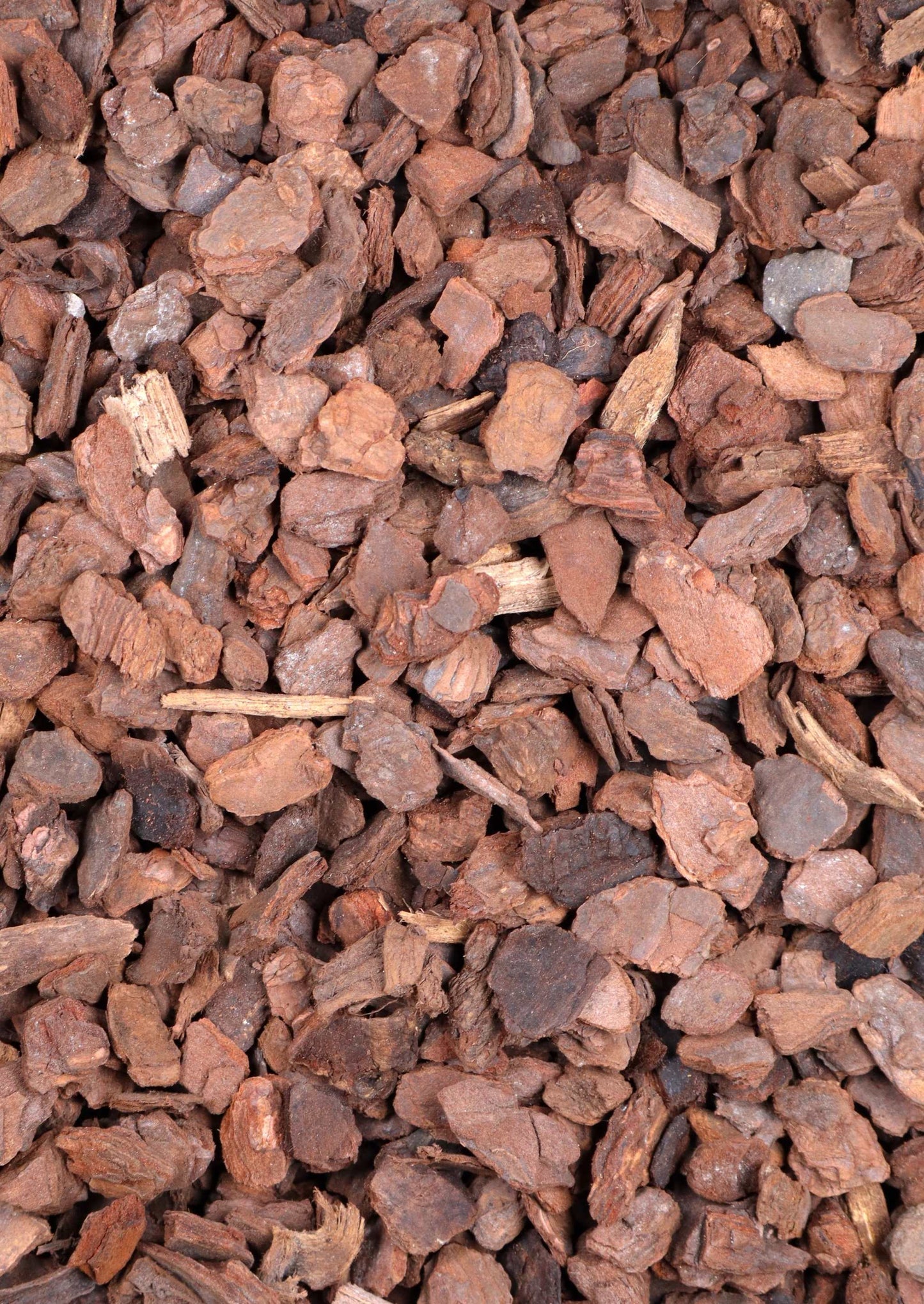 Orchideenrinde orchiata (12-18 mm)