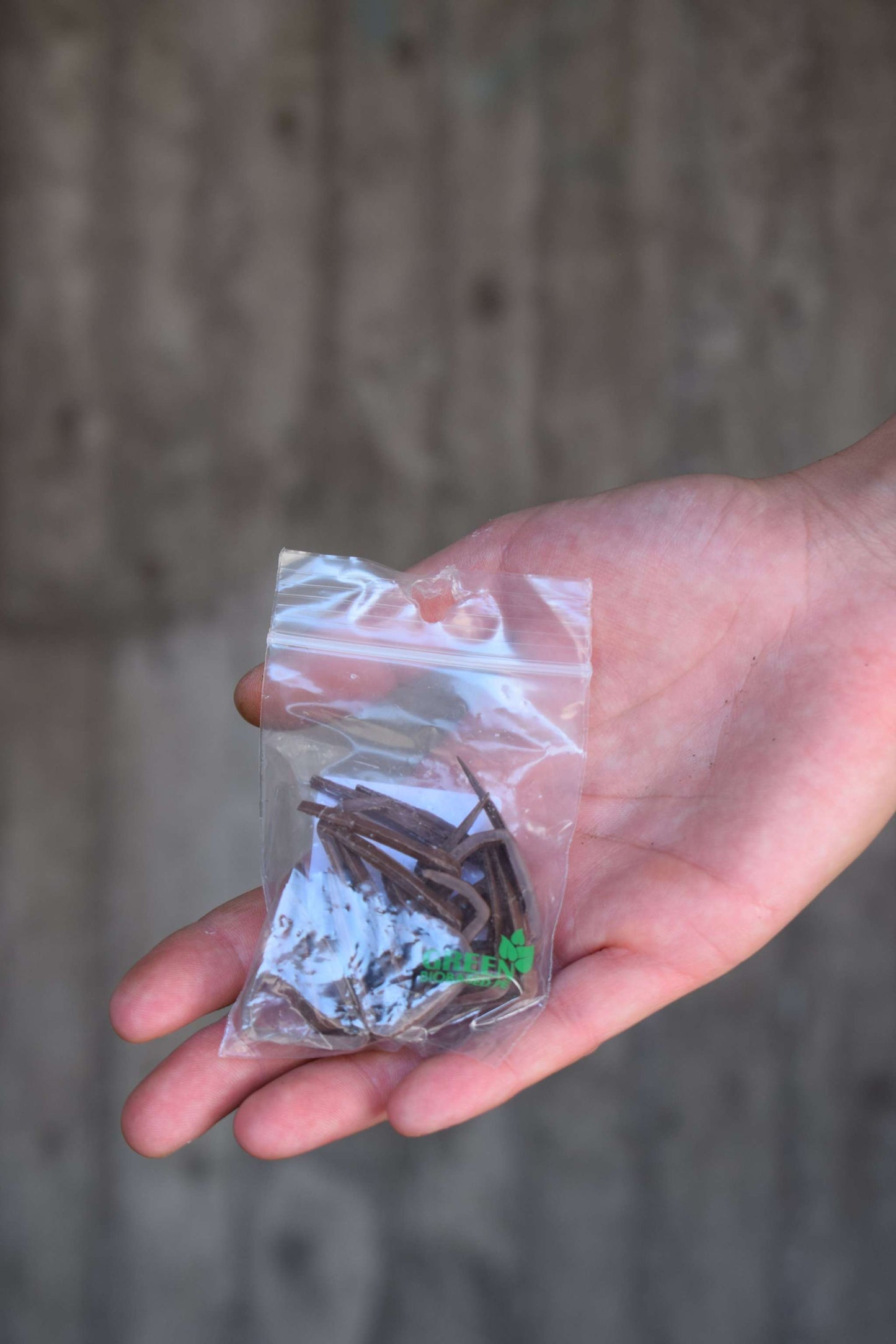 Växtstöd gjort i komposterbart material - kratiste