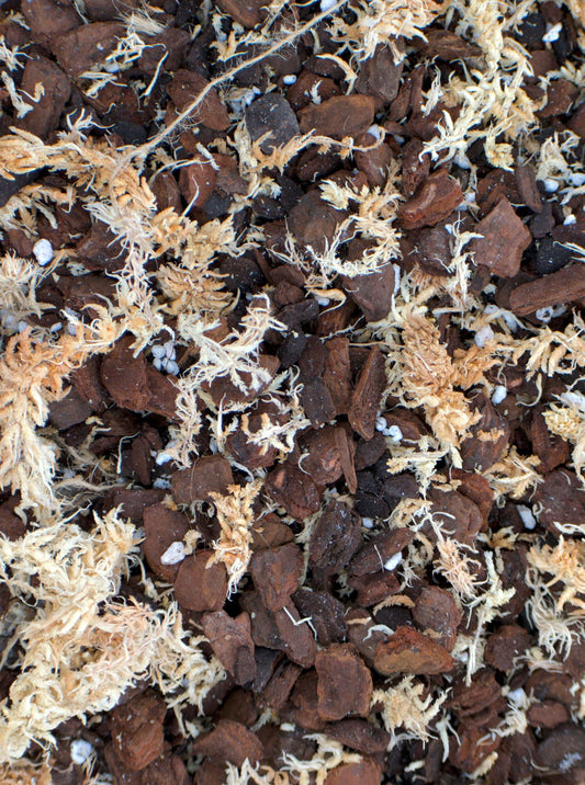 aroidjord och orkidejord krukväxter