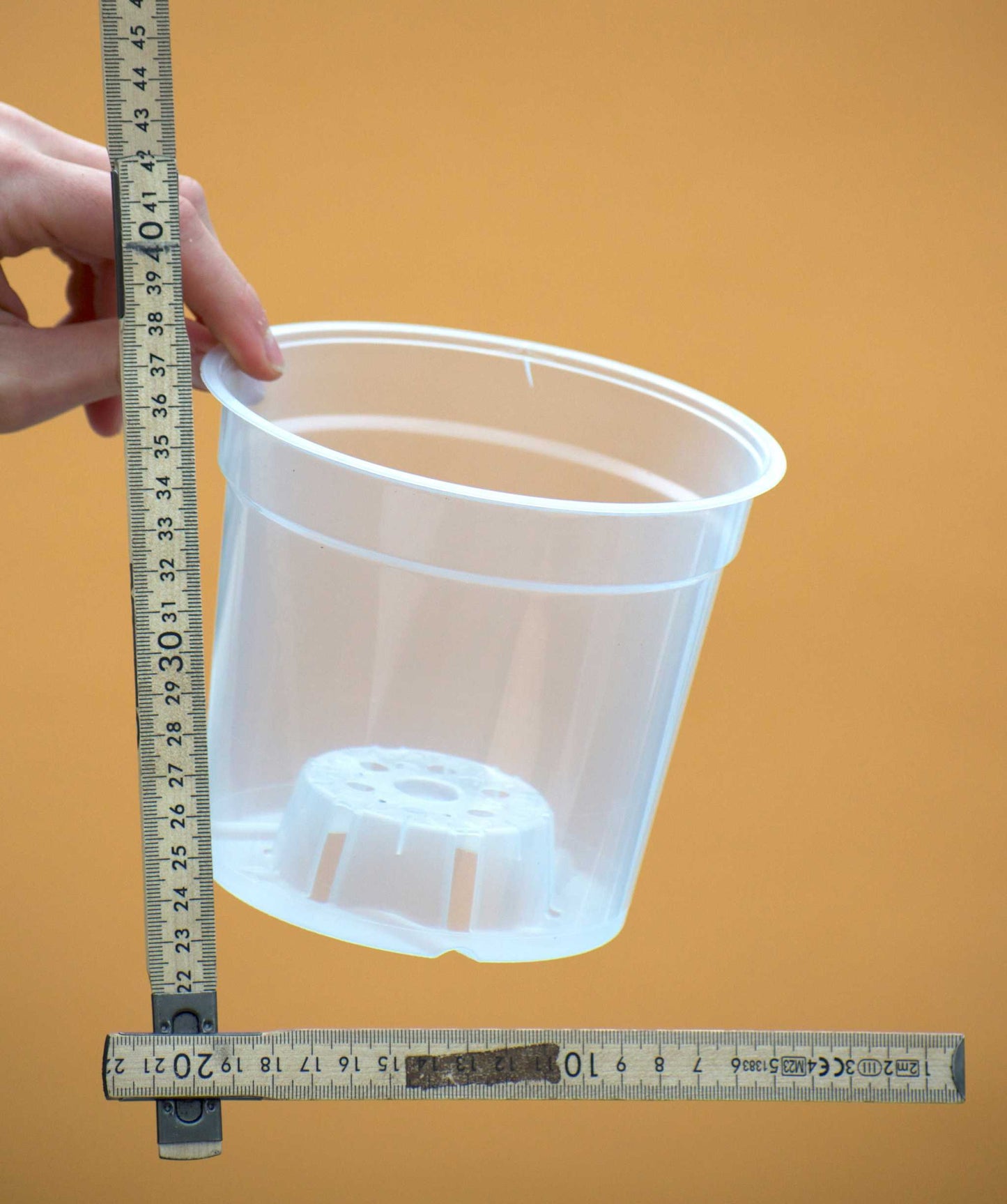 Orkidekruka genomskinlig15 cm