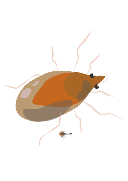 tecknad bild av Jordrovkvalstret