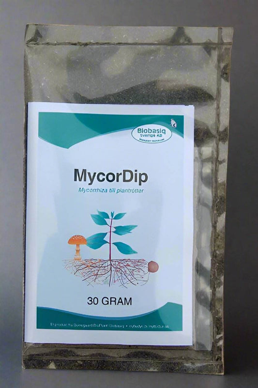 mycorrhiza for plants