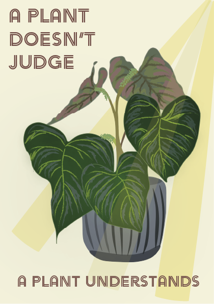 Karte | Philodendron Verrucosum