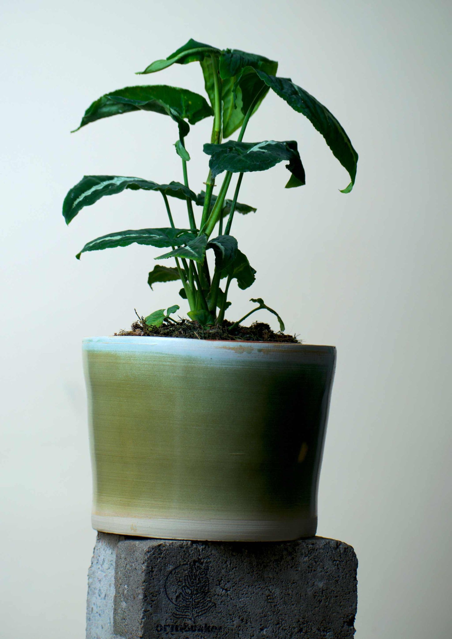 Ceramic pot green | 14.5 cm | Stoneware clay