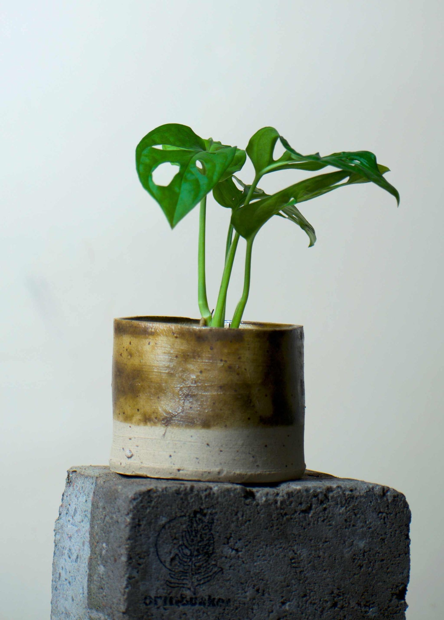 Keramiktopf 'Crème Brûlée' | 7 cm | Steinzeugton