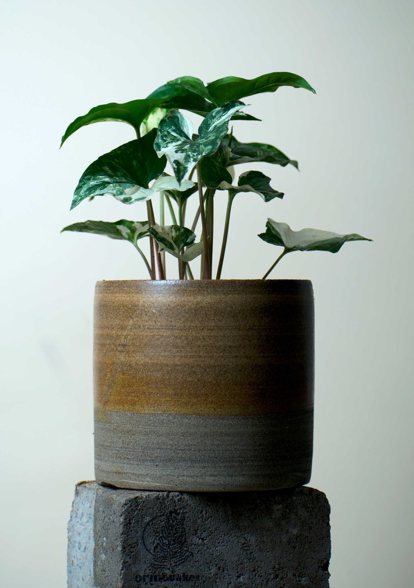 Keramiktopf 'Betonbeige' | 12,5 cm | Steinzeugton