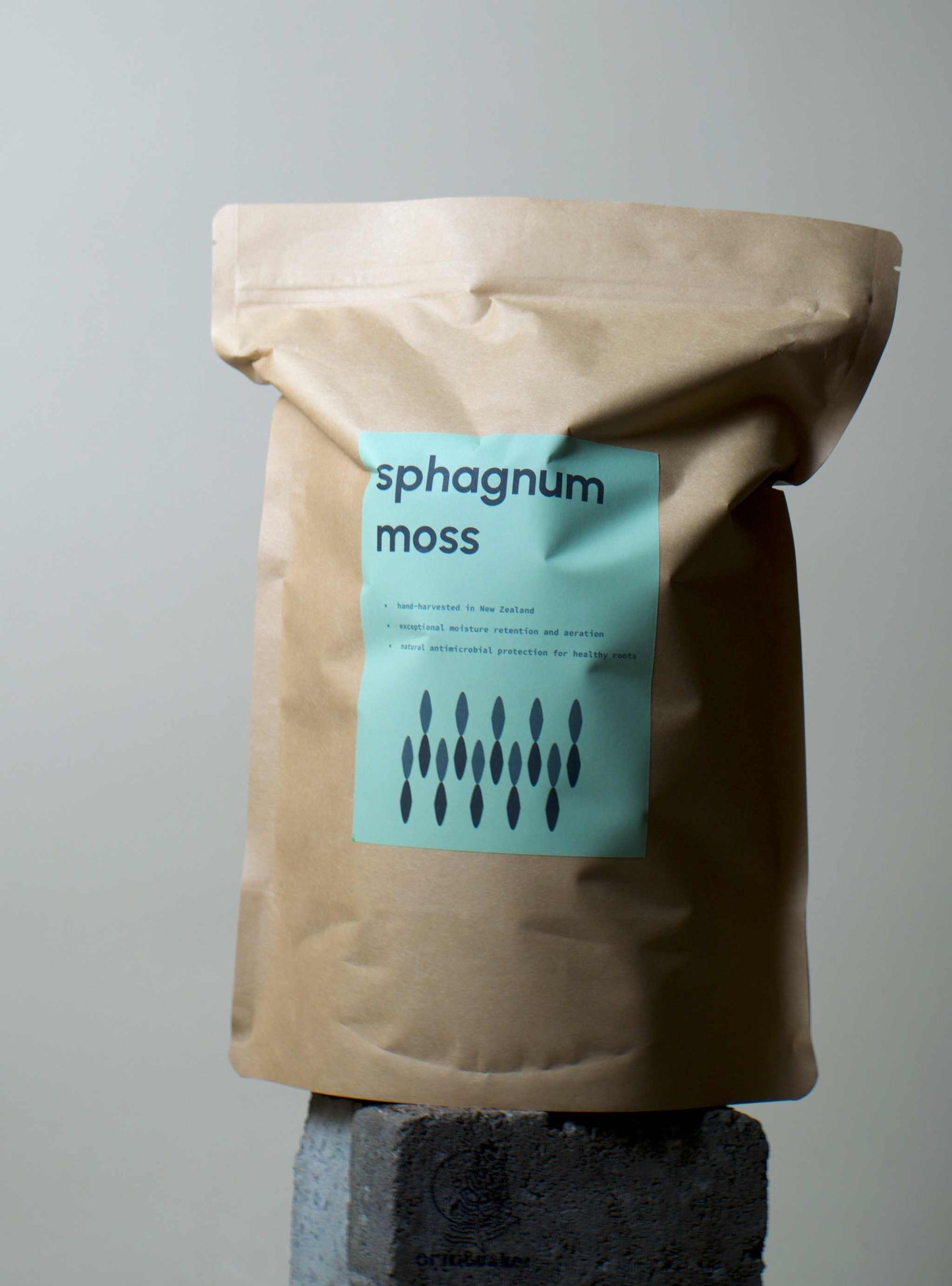 Sphagnummossa