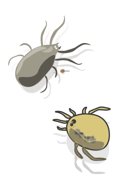 Prevent common pests | Subscription to farm animals