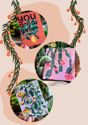 Julklappar för växtintresserade