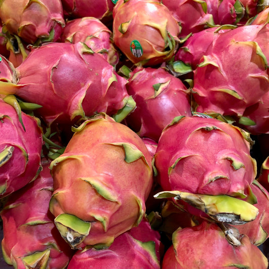 Drakfrukt skötsel | Odla drakfrukt hemma