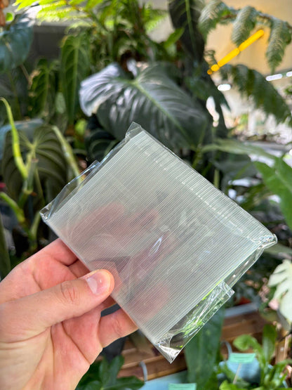 Transparent plant labels 