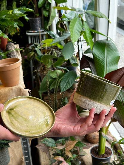 Pot with saucer | Green