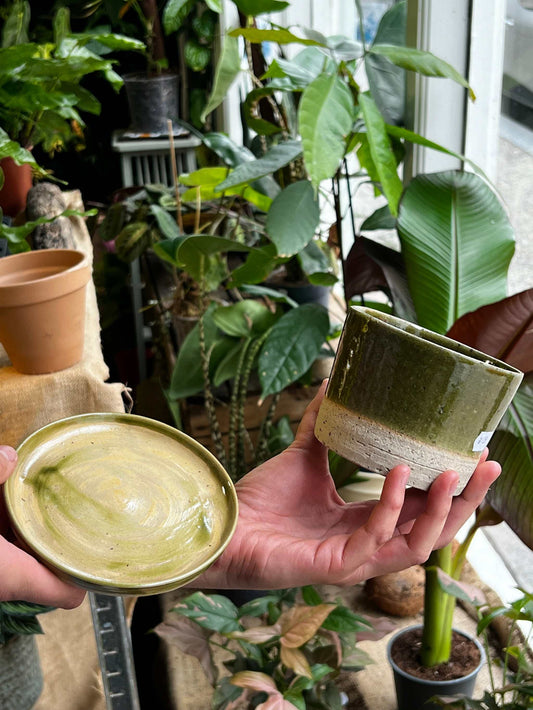 Pot with saucer | Green