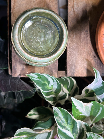 Ceramic wax/oil burner