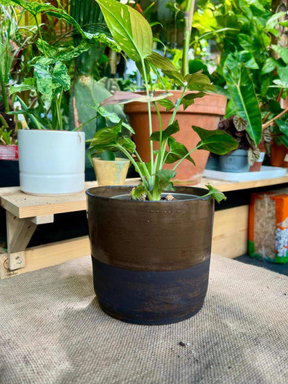 moka pot | 13 cm