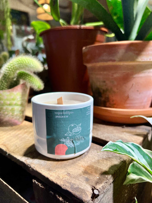 Scented candles | Orange&amp;Ginger | soy wax