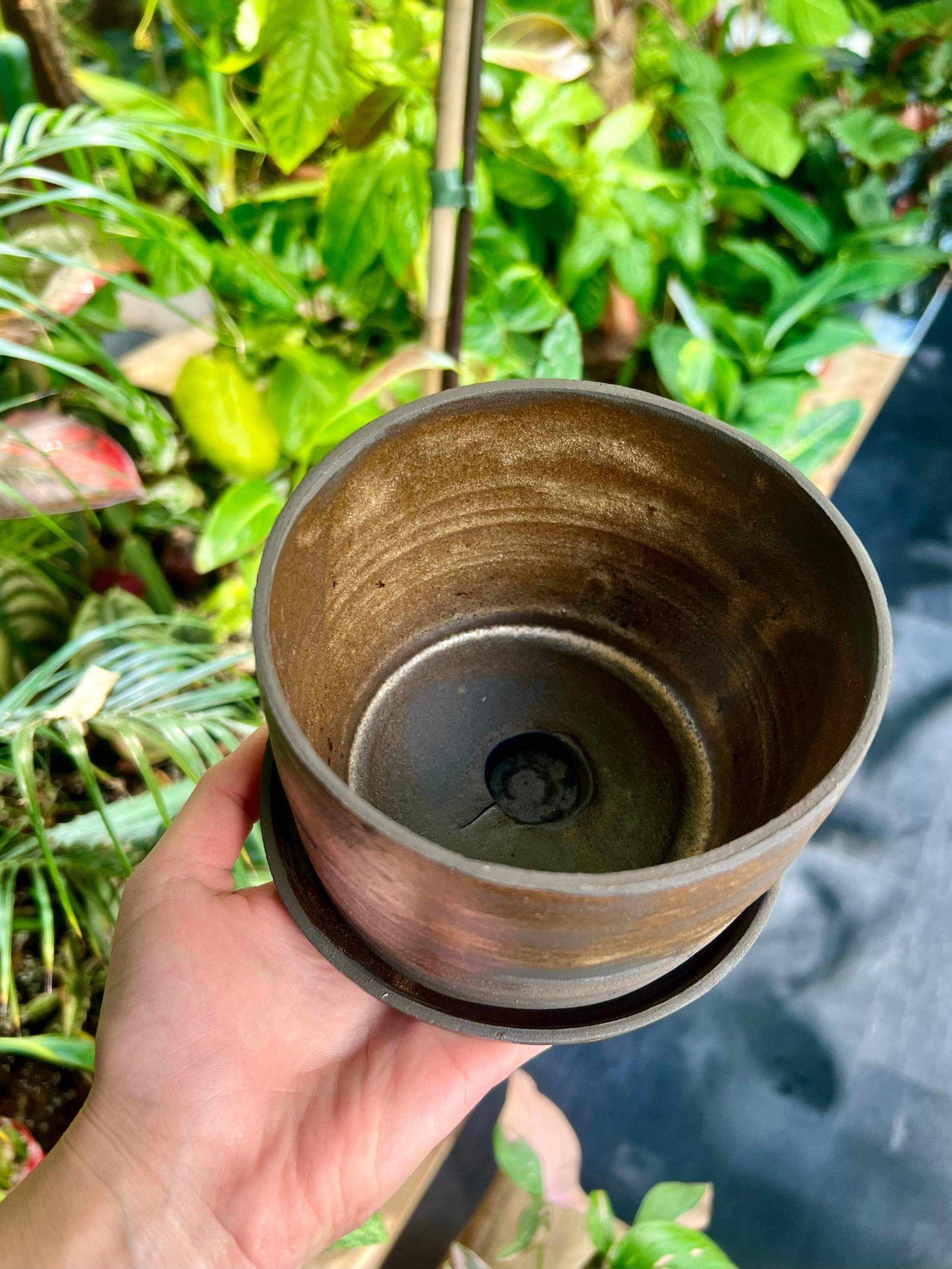 real pot | 8 cm