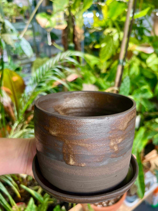 real pot | 8 cm