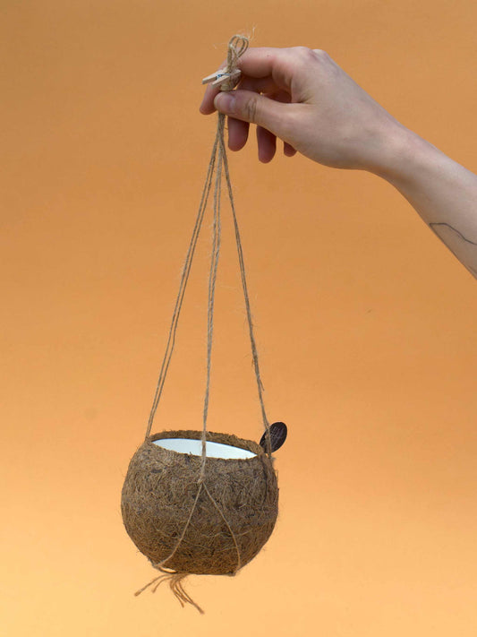 Ampelkruka 'kokedama'