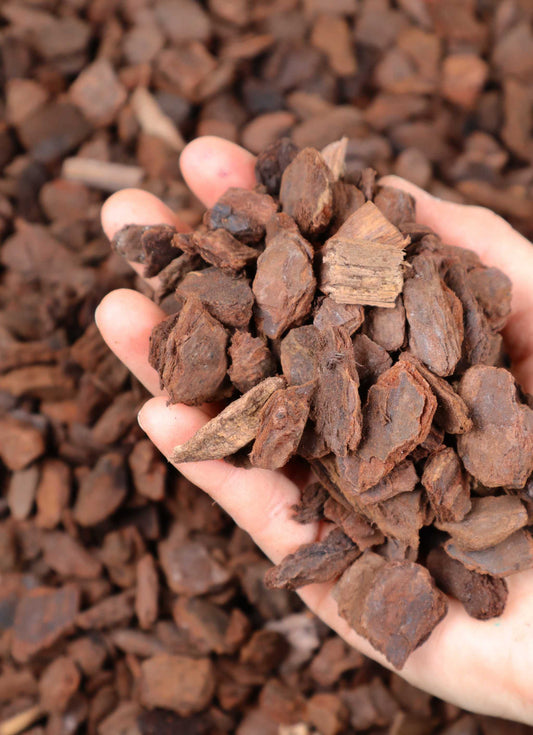 Orchid bark orchiata (12-18 mm)