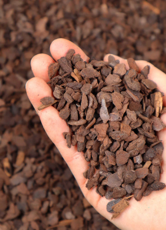 Orchid bark orchiata (6-9mm)