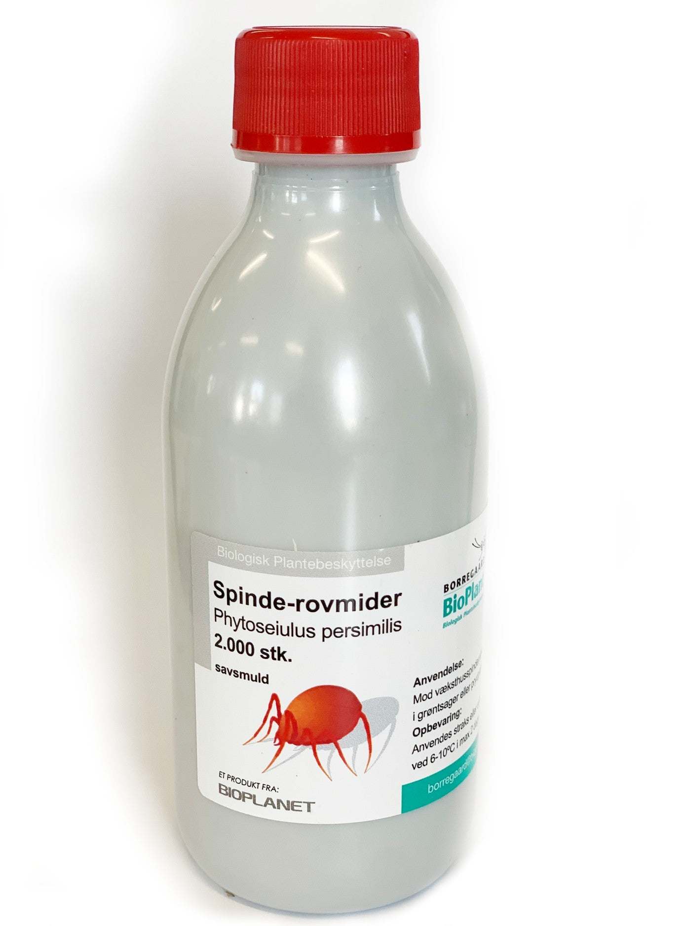 Phytoseiulus Persimilis | Against Spinn