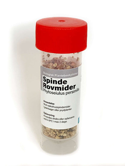 Phytoseiulus Persimilis | Against Spinn