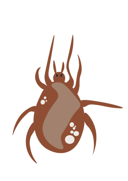 Phytoseiulus Persimilis | Against Spinn