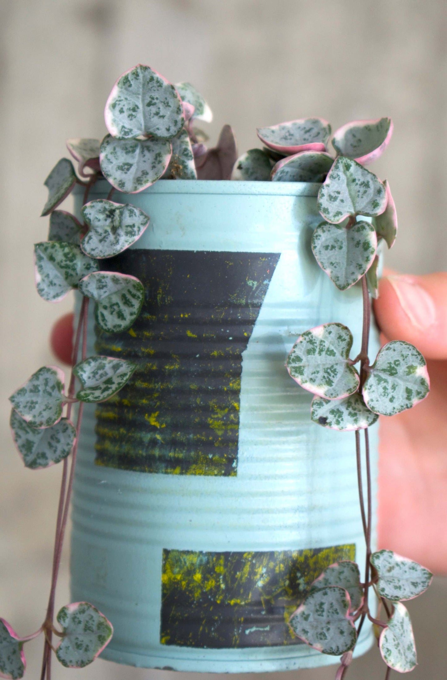 Upcycle pots spring 2024