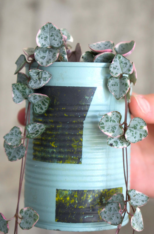 Upcycle pots spring 2024