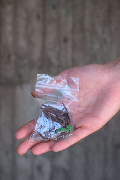 Växtstöd gjort i komposterbart material - kratiste