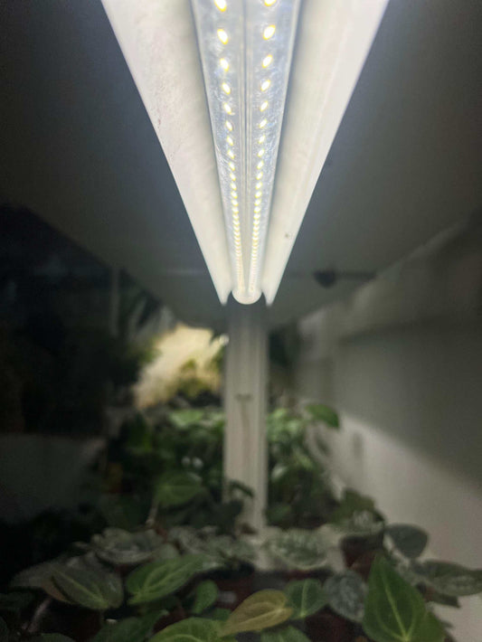 LED Växtbelysning 60cm | 18 W