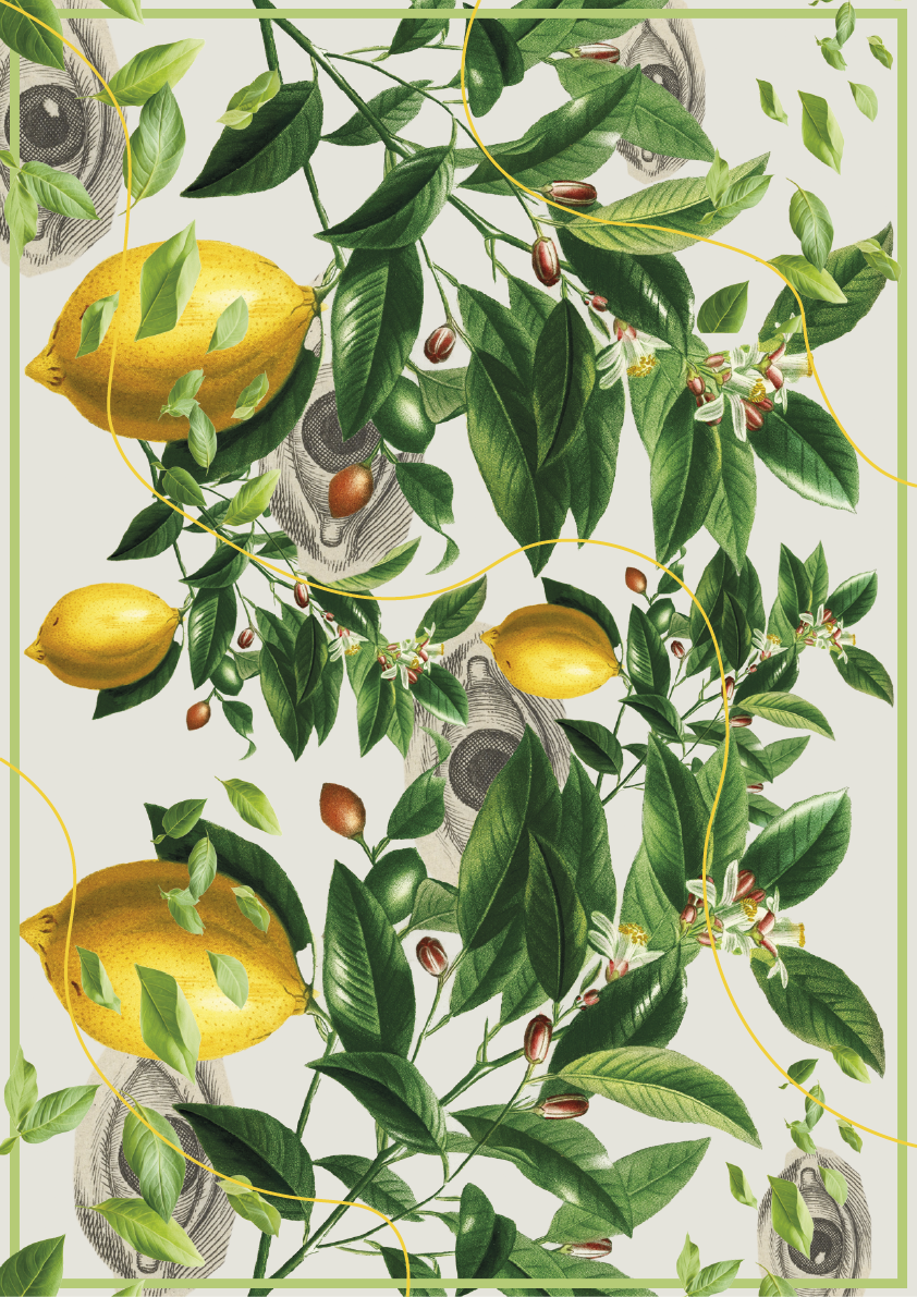 Affish | Lemon